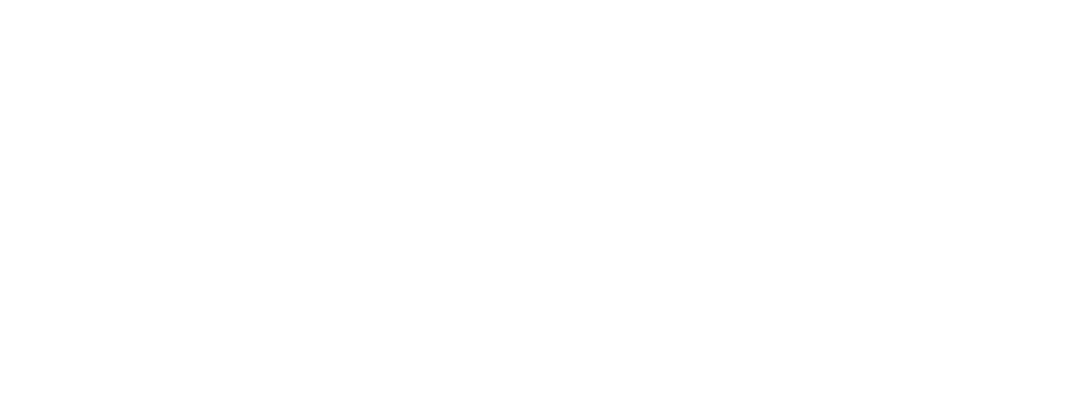 Logo intercom